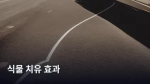 도심 속 녹색 오아시스, 식물 치유 효과로 마음까지 돌보는 법