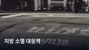 지방 소멸 위기, 우리가 주목해야 할 새로운 대응책은 무엇일까?