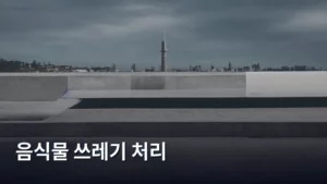 지속 가능한 삶의 시작, 올바른 음식물 쓰레기 처리 방법 총정리
