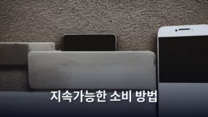 지속가능한 소비 방법으로 나만의 가치를 높이는 방법