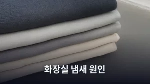 화장실 냄새 원인, 근본부터 잡는 완벽 가이드