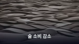 술 소비 감소 트렌드, 우리 생활에 어떤 변화를 가져오나
