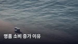 명품 소비 증가 이유, 트렌드를 읽는 소비 심리 분석