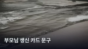 감동 한 스푼! 2026년 부모님 생신 카드 문구, 센스 있게 고르는 법