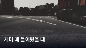 개미 떼 들어왔을 때 대처법: 우리 집 안전 지키기 A to Z