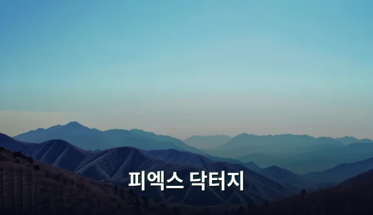 피엑스 닥터지 제품 선택 가이드와 피부 맞춤형 활용법