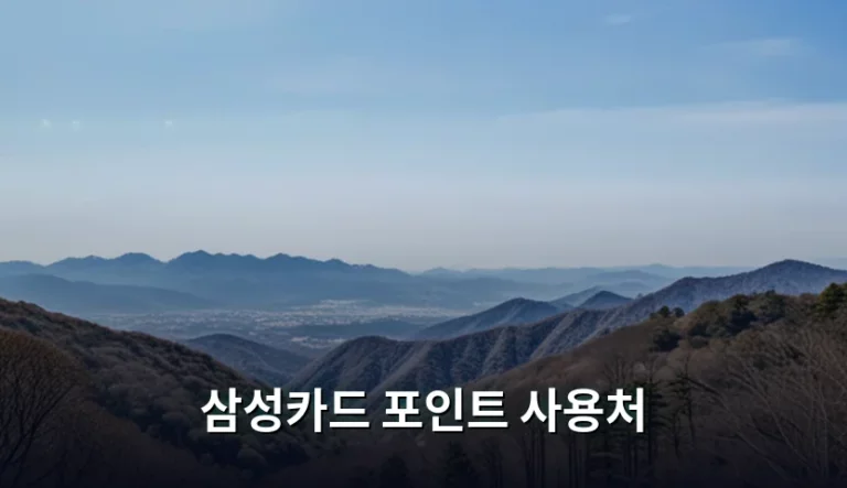 삼성카드 포인트 사용처 및 효율적인 활용 방법 정리